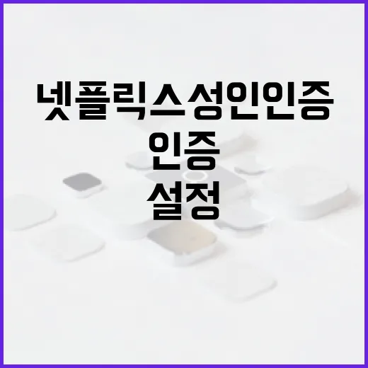 넷플릭스 성인인증을 설정하는 방법 - 요약