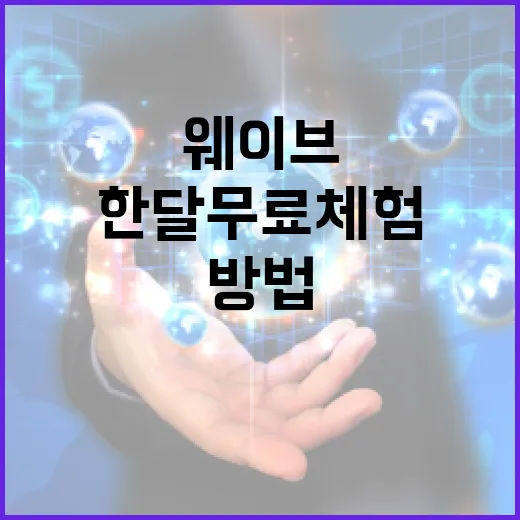 웨이브 한달 무료 체험하는 방법과 팁 - 요약
