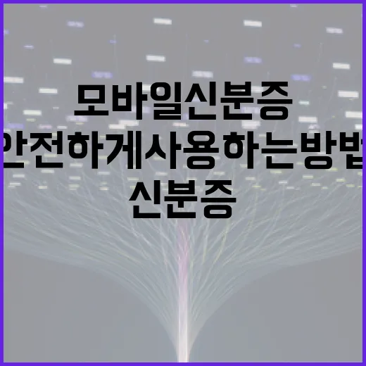 모바일 신분증을 안전하게 사용하는 방법 - 요약