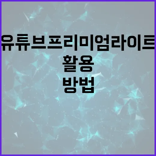 유튜브 프리미엄 라이트를 최대한 활용하는 방법 - 요약