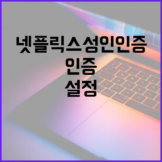 넷플릭스 성인인증을 설정하는 방법 - 요약