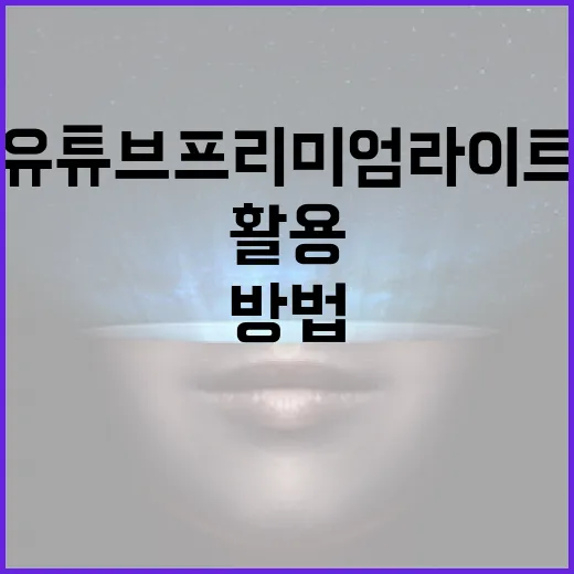유튜브 프리미엄 라이트를 최대한 활용하는 방법 - 요약