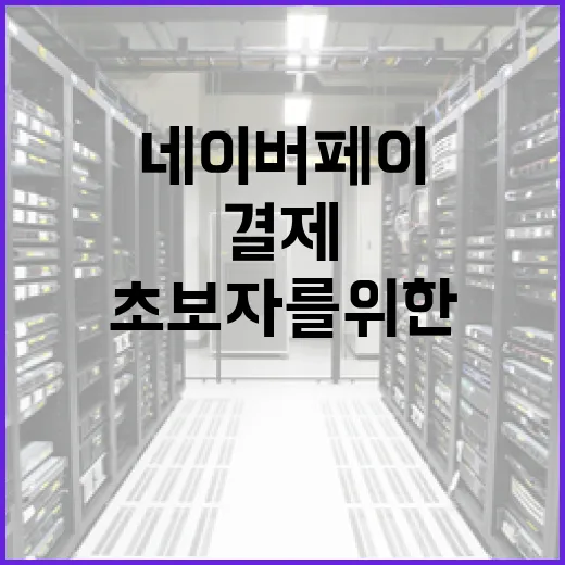 네이버페이 결제를 활용하는 방법: 초보자를 위한 가이드 - 요약