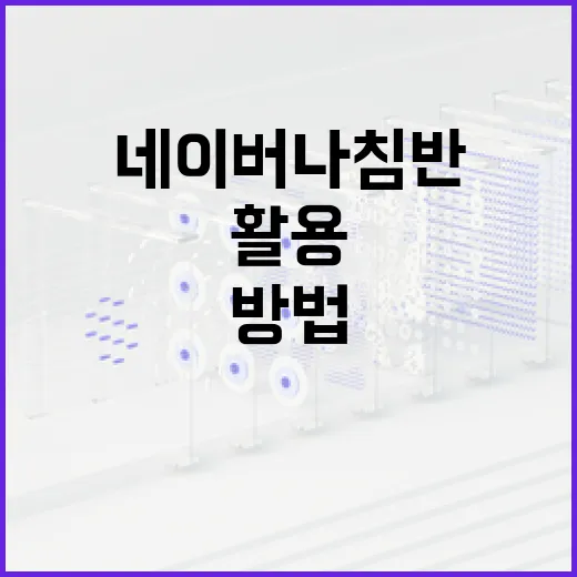 네이버 나침반을 활용하여 효과적으로 길 찾는 방법 - 요약