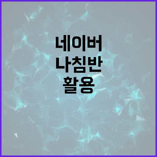 네이버 나침반을 최대한 활용하는 방법 - 요약