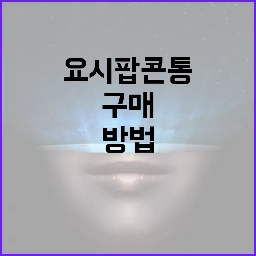 요시 팝콘통 구매하…