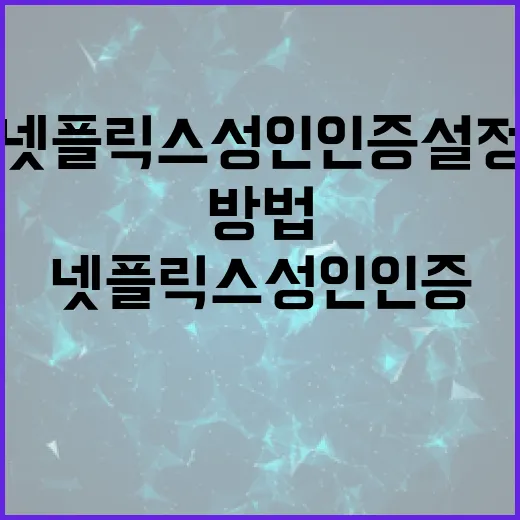 넷플릭스 성인인증 설정하는 방법 - 요약