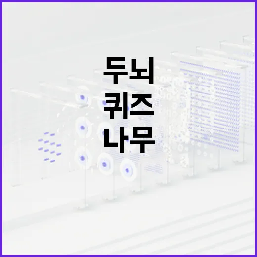 나무엑스 퀴즈로 두뇌를 단련하는 방법 - 요약