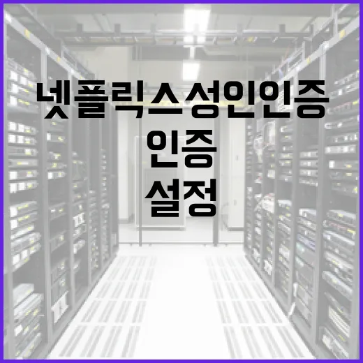 넷플릭스 성인인증을 설정하는 방법 - 요약