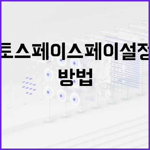 토스 페이스페이 설정 및 안전하게 사용하는 방법 - 요약