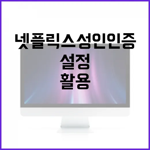 넷플릭스 성인인증을 설정하고 활용하는 방법 - 요약
