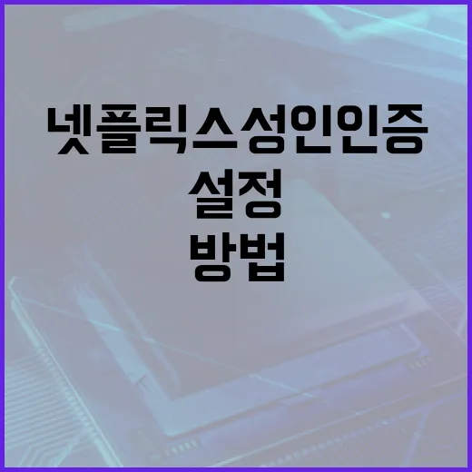 넷플릭스 성인인증을 쉽게 설정하는 방법 - 요약