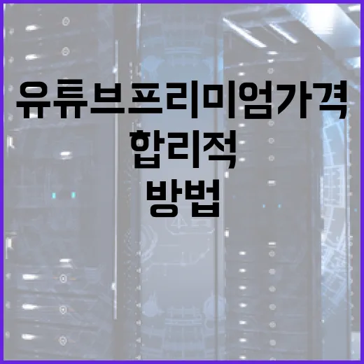 유튜브 프리미엄 가격을 합리적으로 관리하는 방법 - 요약