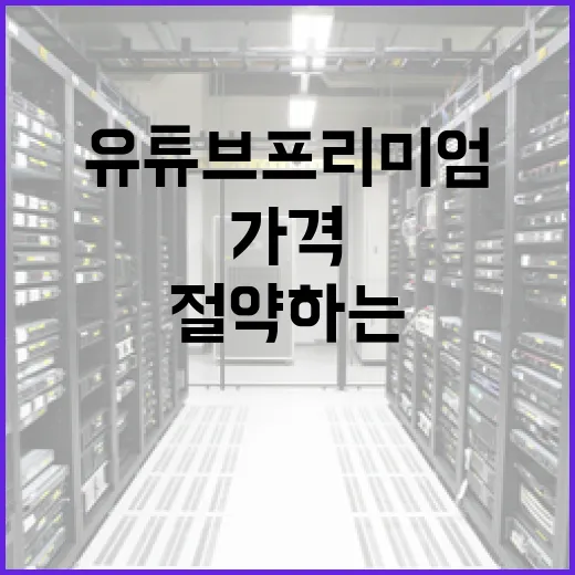 유튜브 프리미엄 가격을 절약하는 방법 - 요약
