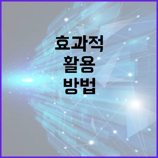 다음을 효과적으로 활용하는 방법 - 요약