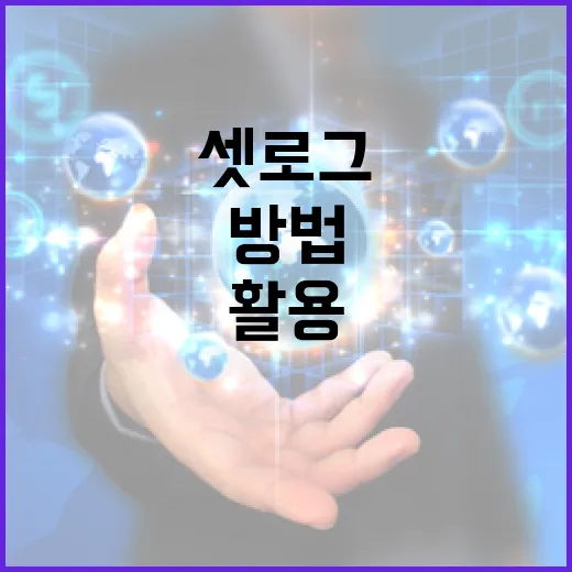 셋로그를 이해하고 활용하는 방법 - 요약