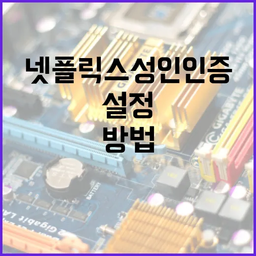 넷플릭스 성인인증을 쉽게 설정하는 방법 - 요약