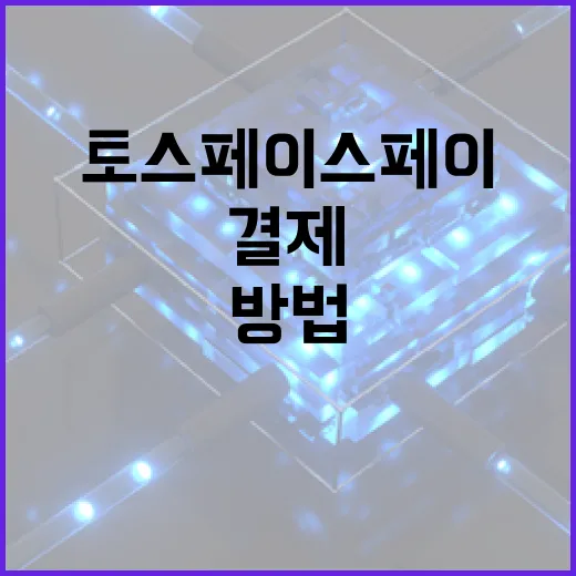 토스 페이스페이를 활용하여 결제를 쉽게 하는 방법 - 요약