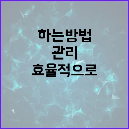 쿠가세를 활용하여 효율적으로 데이터 관리를 하는 방법 - 요약