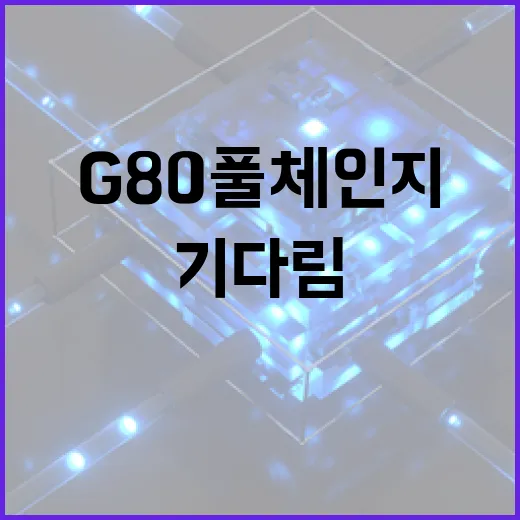 오랜 기다림 끝에 G80 풀체인지 하는 방법 - 요약