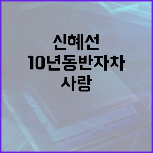 신혜선의 10년 동반자 차를 사랑하는 방법 - 요약