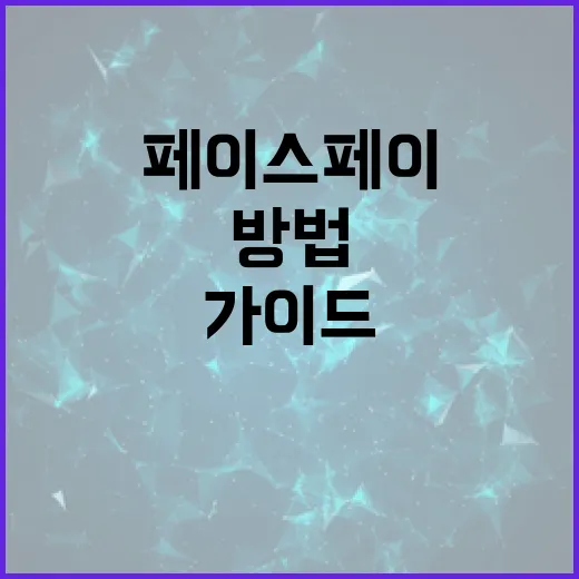 페이스페이를 시작하는 방법: 초보자를 위한 가이드 - 요약