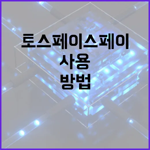 토스 페이스페이를 안전하게 사용하는 방법 - 요약