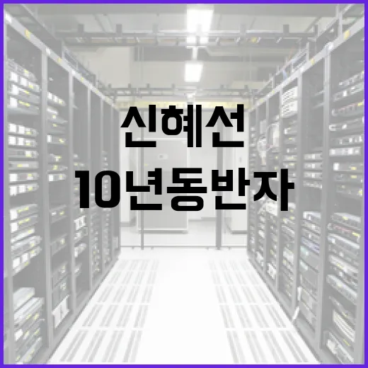 신혜선의 10년 동반자, 차를 사랑하는 방법 - 요약