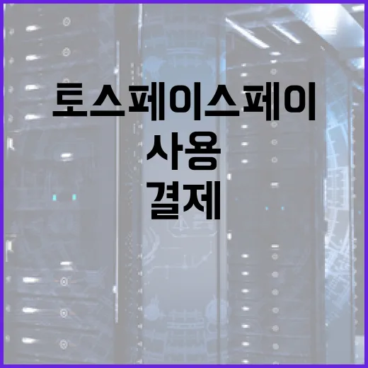 토스 페이스페이를 사용하는 방법: 안전하고 편리한 결제 솔루션 - 요약