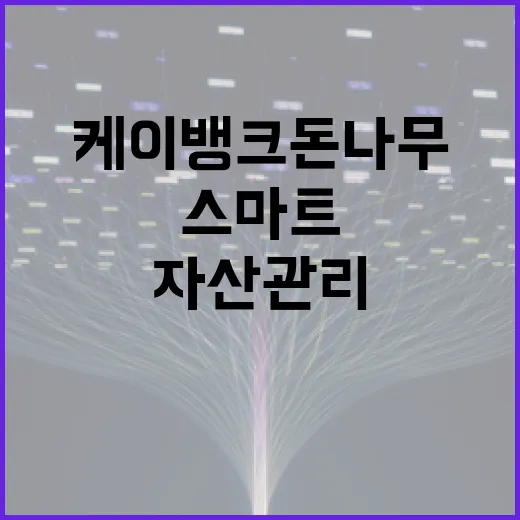 케이뱅크 돈나무로 스마트하게 자산 관리하는 방법 - 요약