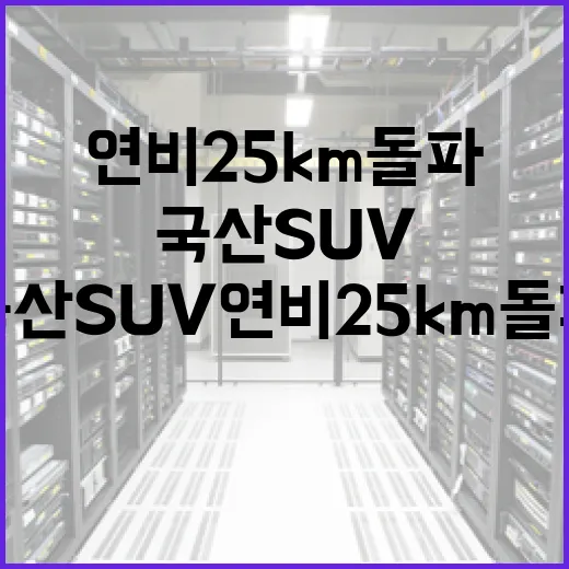 국산 SUV 연비 25km 돌파를 위한 팁과 방법 - 요약