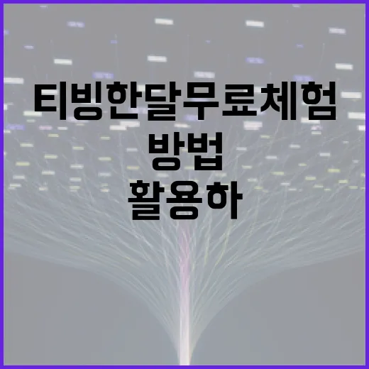 티빙 한달 무료 체험을 최대한 활용하는 방법 - 요약