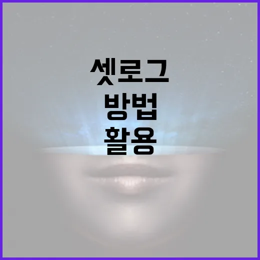 셋로그를 효과적으로 활용하는 방법 - 요약