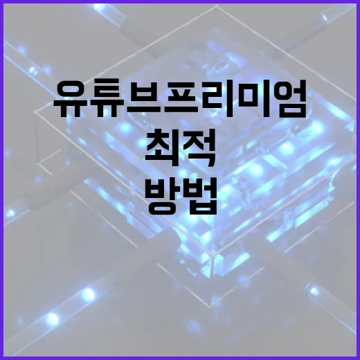 유튜브 프리미엄 가격을 최적으로 활용하는 방법 - 요약
