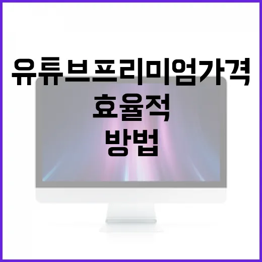 유튜브 프리미엄 가격을 효율적으로 활용하는 방법 - 요약