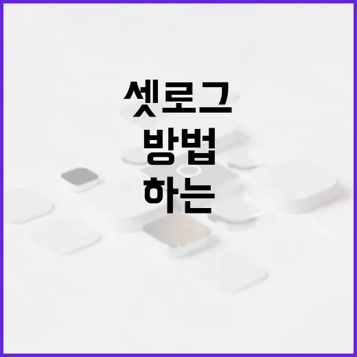 셋로그하는 방법: 당신의 비즈니스를 위한 최고의 선택 - 요약