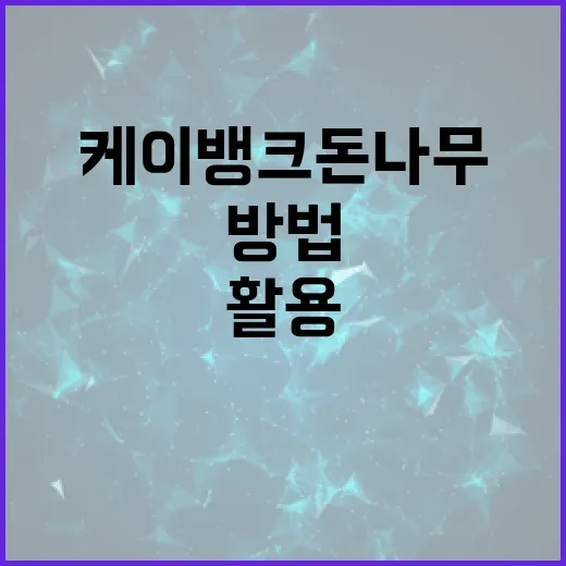 케이뱅크 돈나무 서비스를 최대한 활용하는 방법 - 요약