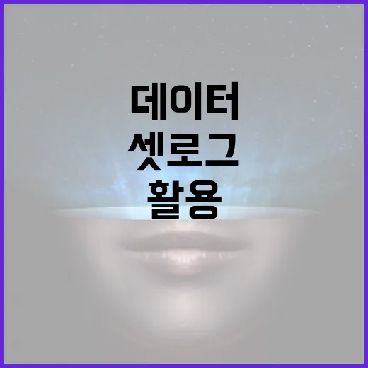 셋로그를 활용하여 최적의 데이터 분석을 수행하는 방법 - 요약