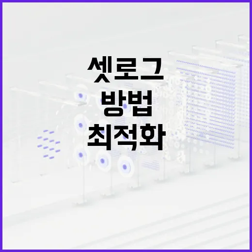 셋로그를 활용하여 웹사이트 성능을 최적화하는 방법 - 요약