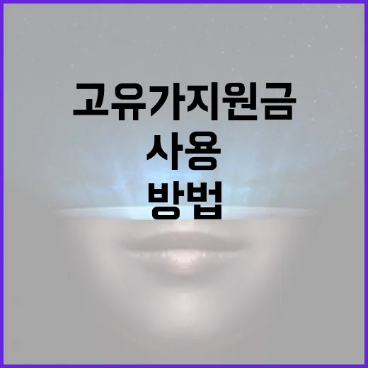 고유가지원금을 효과적으로 사용하는 방법 - 요약