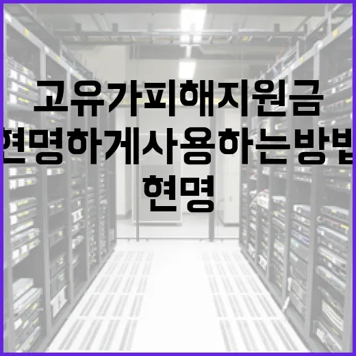 고유가 피해지원금, 현명하게 사용하는 방법 - 요약