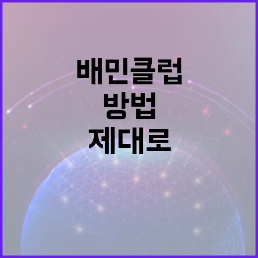 배민클럽 제대로 활용하는 방법 - 요약