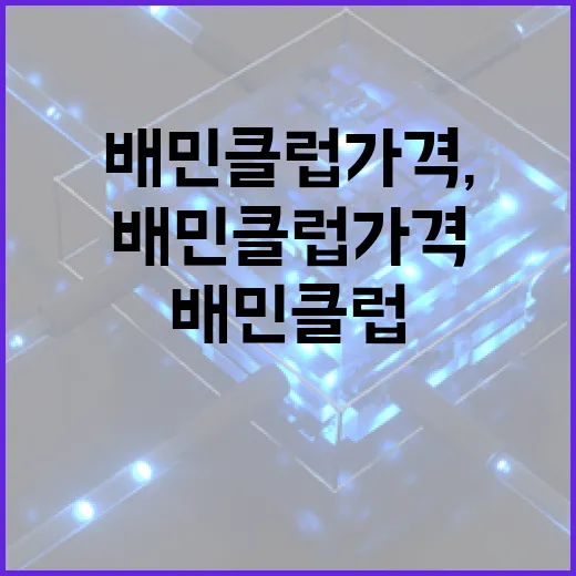 배민클럽 가격, 어떻게 활용할까? - 요약