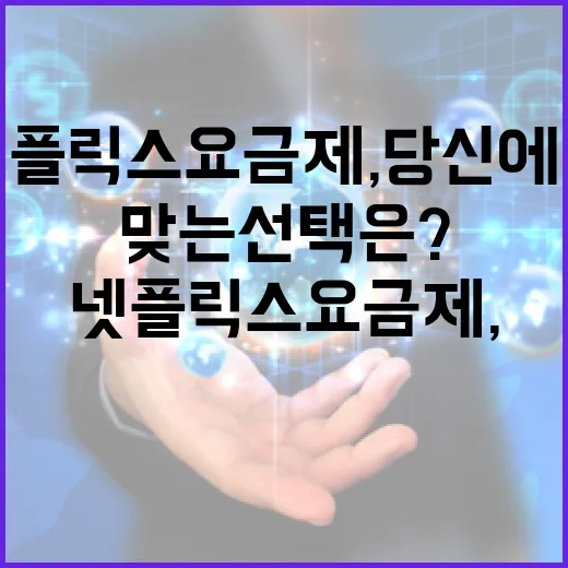 넷플릭스 요금제, 당신에게 딱 맞는 선택은? - 요약