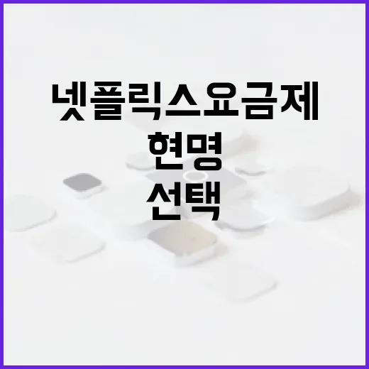넷플릭스 요금제를 현명하게 선택하는 방법 - 요약