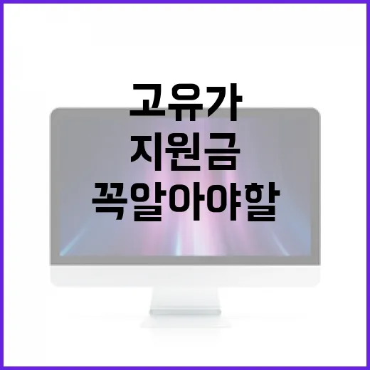 고유가지원금 활용법: 꼭 알아야 할 사실들 - 요약