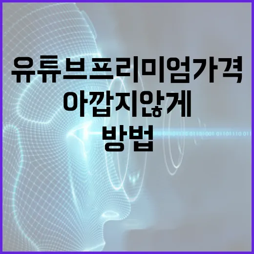 유튜브 프리미엄 가격, 아깝지 않게 활용하는 방법 - 요약