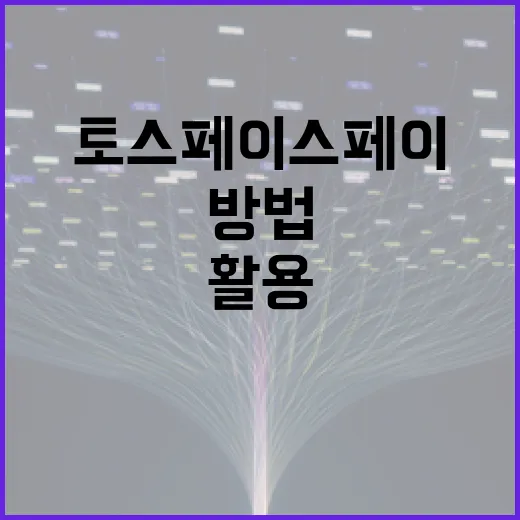 토스 페이스페이 제대로 활용하는 방법 - 요약