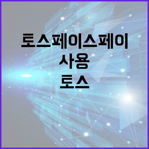 토스 페이스페이, 이렇게 사용해보세요! - 요약