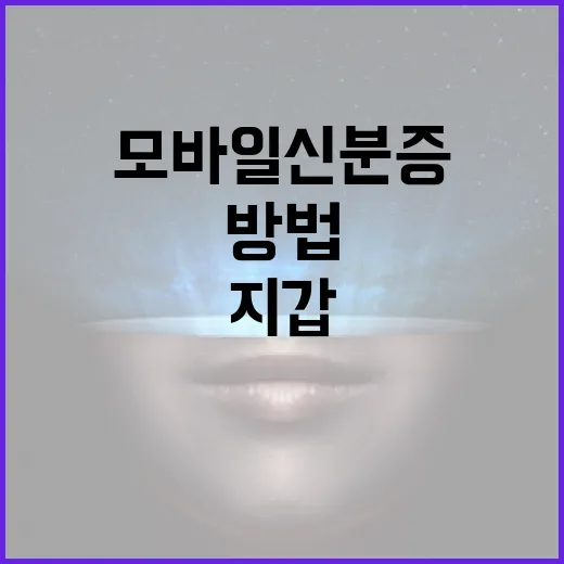 모바일 신분증을 활용하는 방법: 이제 지갑을 가볍게 - 요약